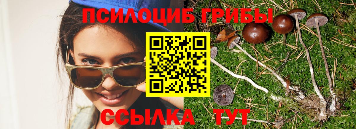 Псилоцибиновые грибы ЛСД  Вход с VPN  Галлюциногенные грибы Psilocybe  магазин продажи наркотиков  Белая Калитва 